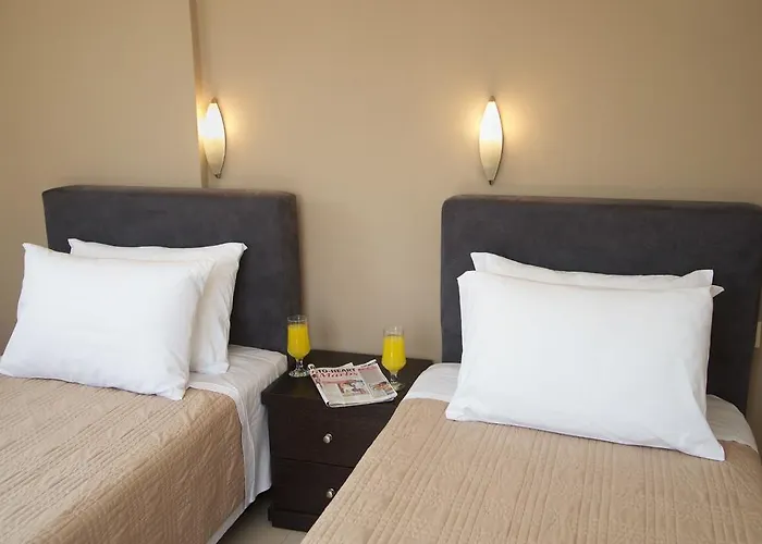 Regina Ioanna Vila *